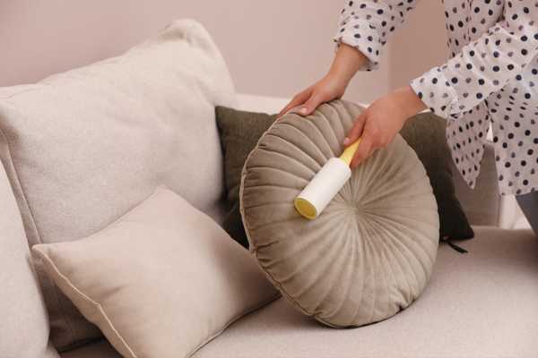 Shake The Cushions To Remove Loose Debris