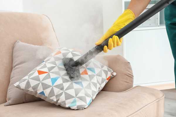 Vacuum The Cushions With A Brush Attachment
